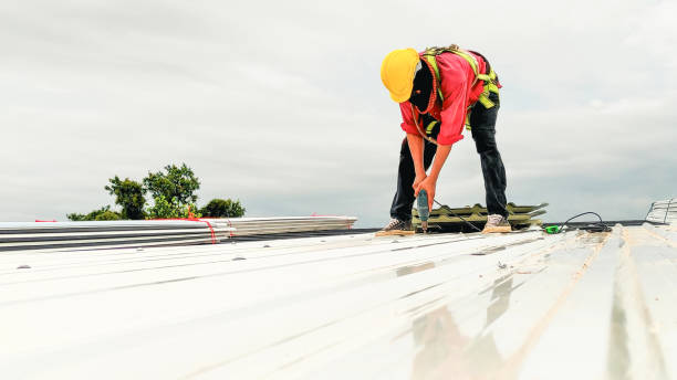 Best Rubber Roofing (EPDM, TPO)  in Aurora, MN